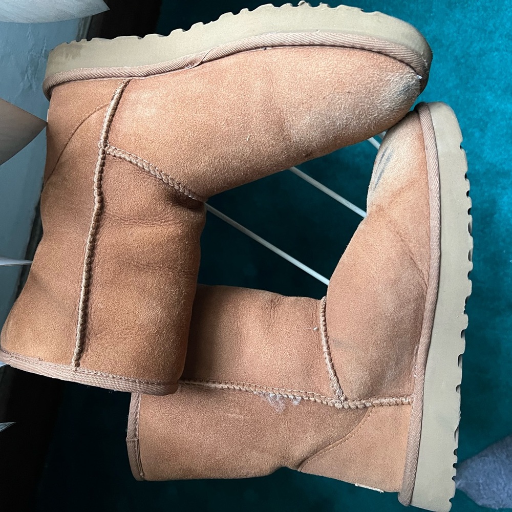 Ugg Short Classic Chestnut